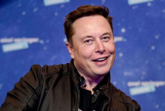HOAX? Elon Musk Raped His College Cat and His Father Covered Using Emerald Money: I Did Not Fuck My Cat To Death 